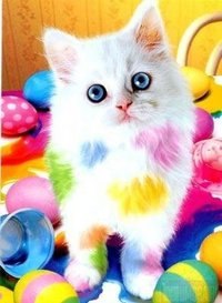 Malefika Злая | Москва