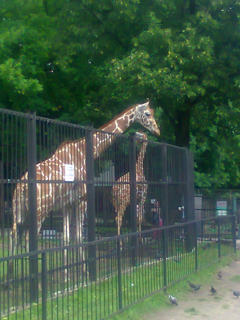 Наталья Богданова | Апатиты