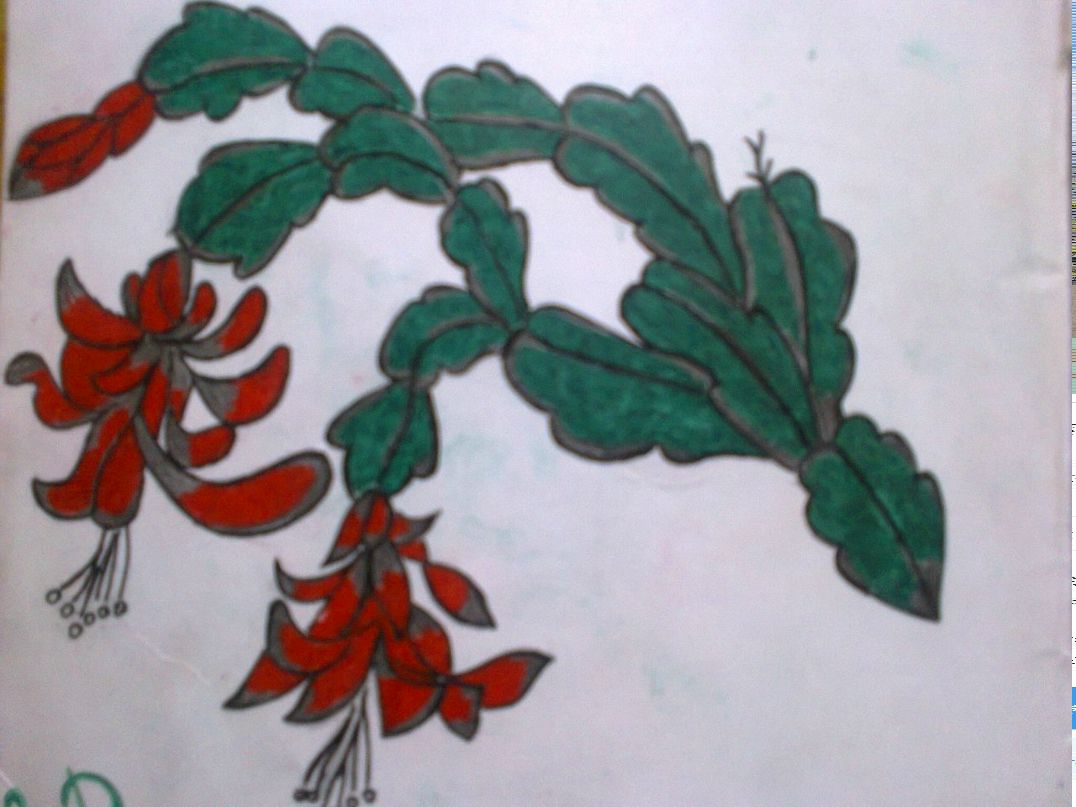 Оксана Ковалёва ♥ღЕжонокღ♥ | Иркутск