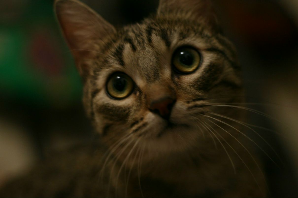 Михаил Сорокин 40 in | Москва