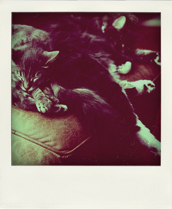 Эмилия Снежнова *John Watson* | 