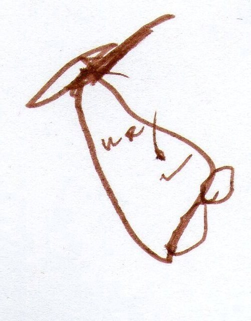 Людмила Мойсеенко | Феодосия