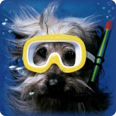 Кирилл Ханжаров | Санкт-Петербург