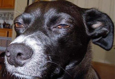 Стас Бочкарев | Кривой Рог