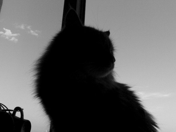 Марина Малинка | Екатеринбург