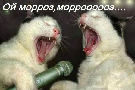 Илья Уткин | 