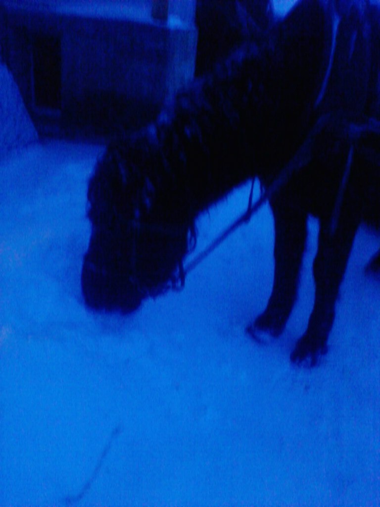 Наталья Анциферова | Helsinki