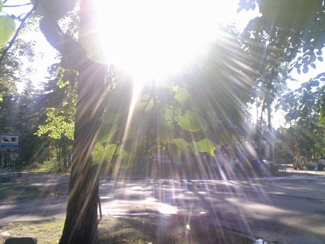 Serz Serzz | Таллин