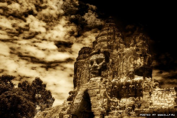 №14, Алина Чащина, 41 год, Москва №14, Алина Чащина, 41 год, Москва