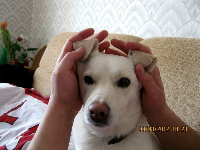 №26, Олег Лапшинский, Киев №26, Олег Лапшинский, Киев