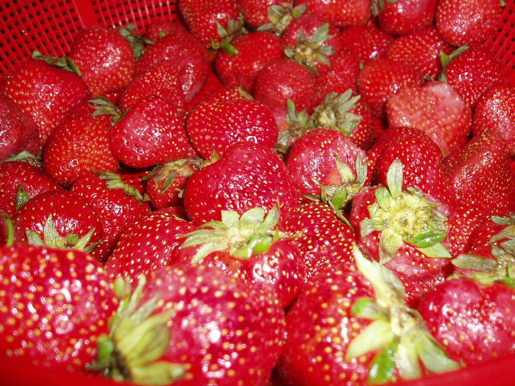 Наталья Мартиросова | Тюмень