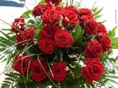 №1 Оксана Потапова : профиль, фото, статус - ВКонтакте