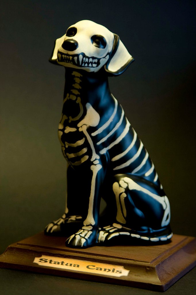 Артем Соломенин | Челябинск