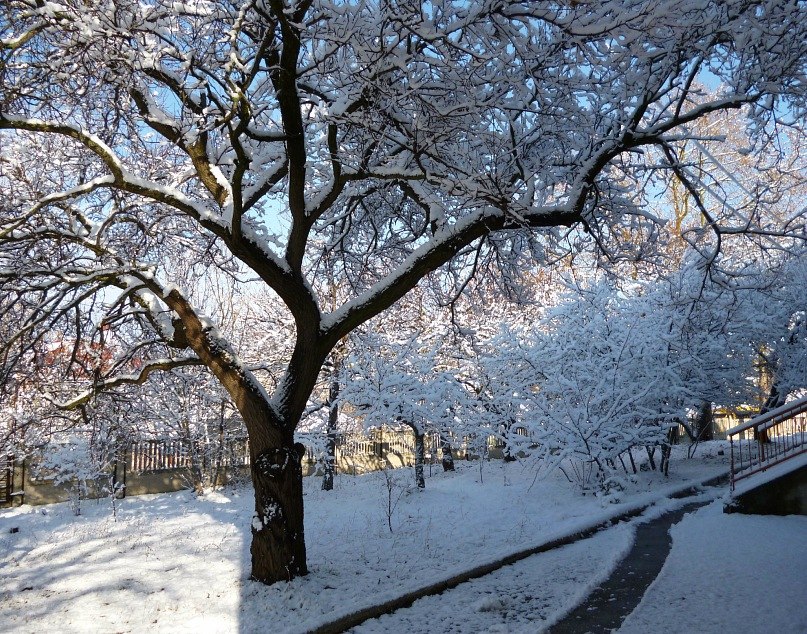 Ирина Семина | Севастополь