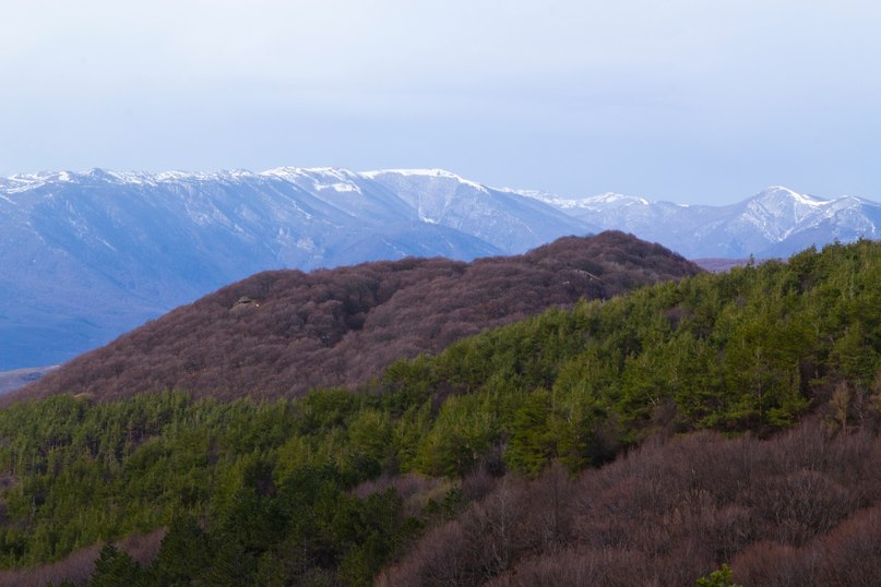 Евгений Шатохин | Черкассы