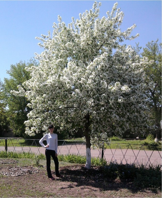 Татьяна Федосова | Оренбург