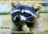 Фотография Макс Крещенко