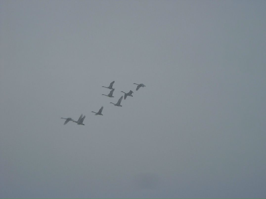 Мария Логинова | Барнаул