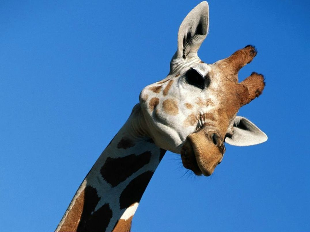 Слава Демичев | Приморск