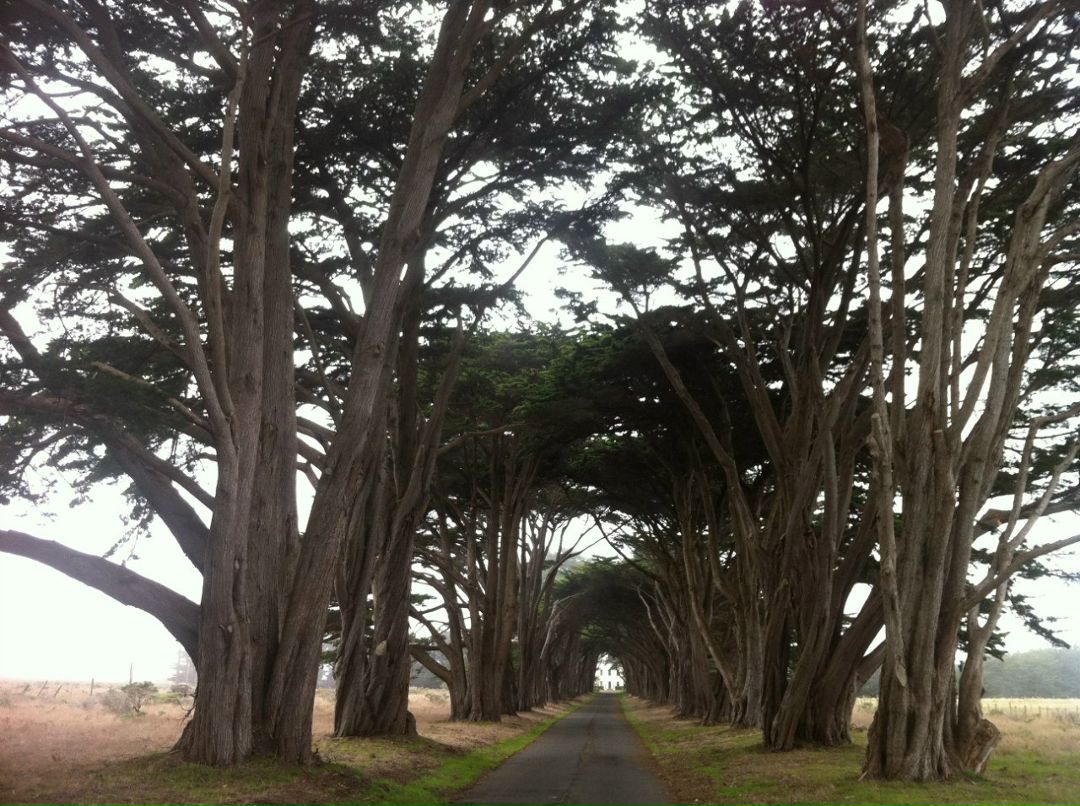 Юлия Михайлова | Петрозаводск