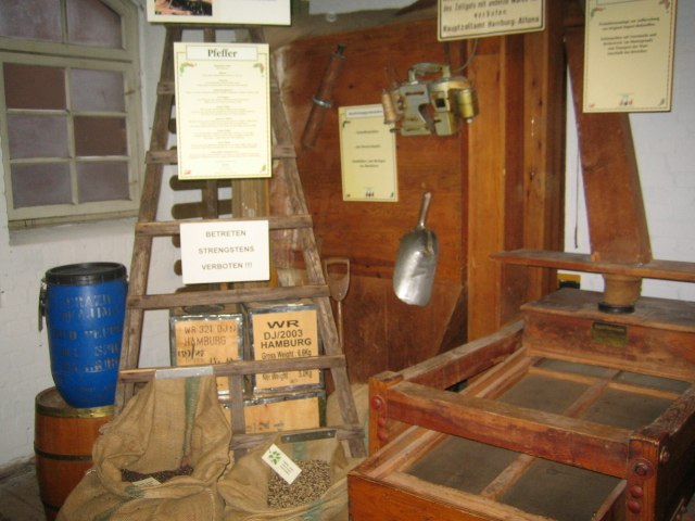 Елена Соломонова | Санкт-Петербург