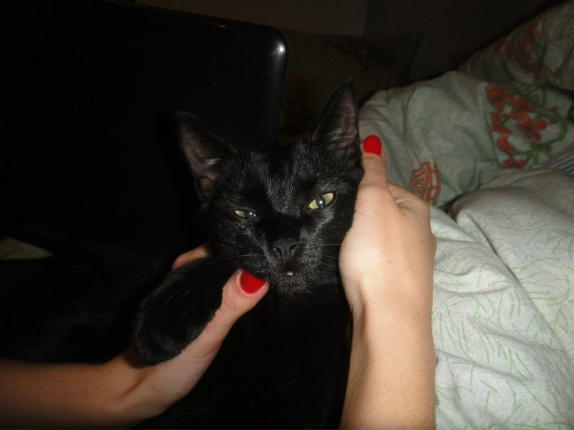 Татьяна Гончаренко | Белогородка