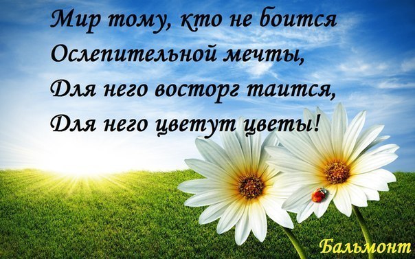 Вестана Матсур Vestana | Нарва