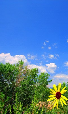 Даша Ягодина | Новосибирск