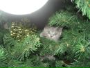 №32 Оксана  : профиль, фото, статус - ВКонтакте