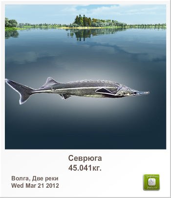 Владимир Поляков | Красноград