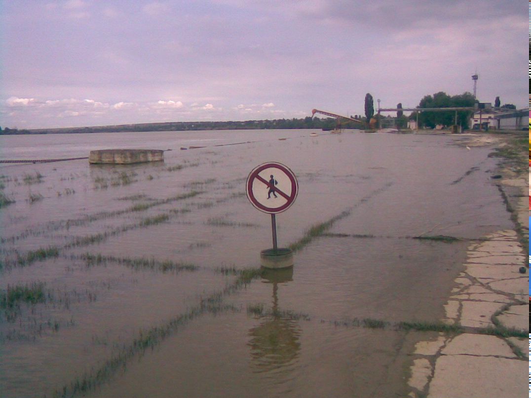 Сергей Аушев Oushen | Рени