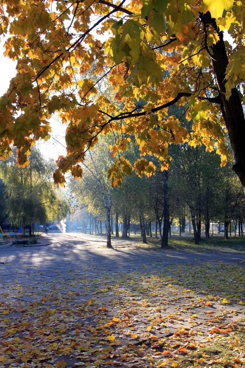 Виталий Бизунов | Москва