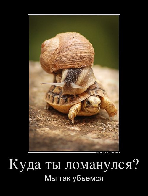 Ольга Матусенко | Иркутск