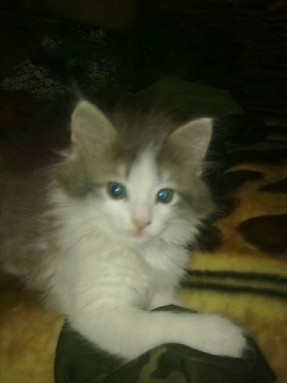 Алексей Фролов Геннадьевич | Нижний Новгород