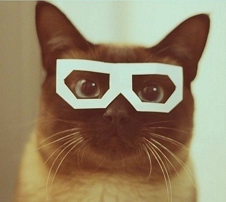 Витёк Мирзакандов | Санкт-Петербург