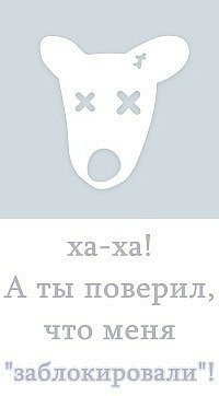 Виталик Платонов фото профиля #1