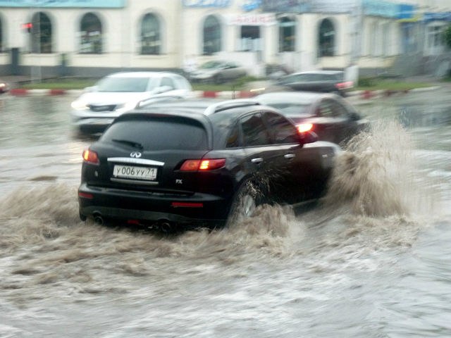Дмитрий Королев | Тула