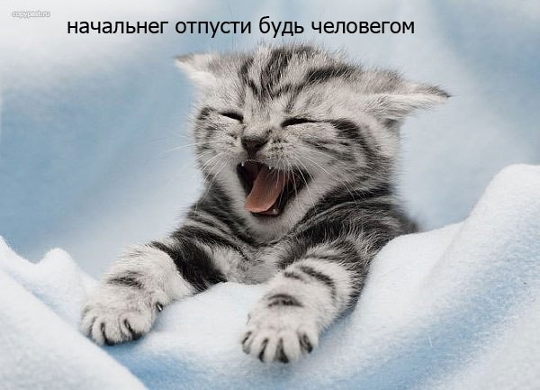 Аня Русакова | Харьков