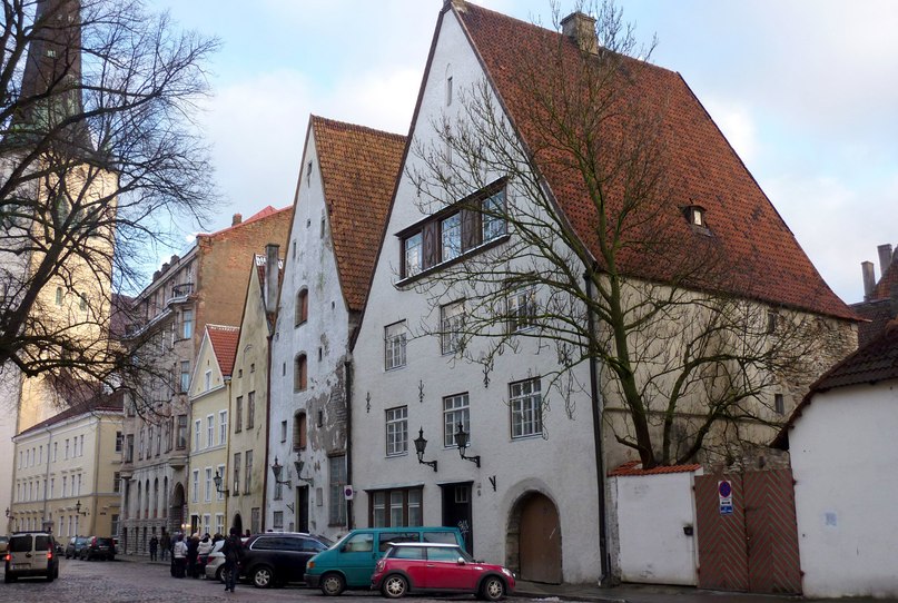 Елена Алоева | Санкт-Петербург