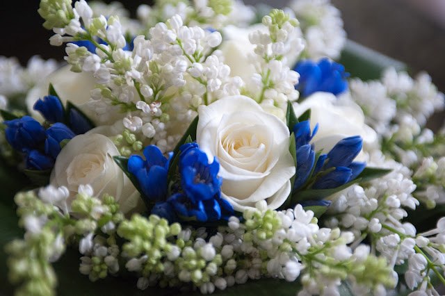 Вадим Алексеенко | 