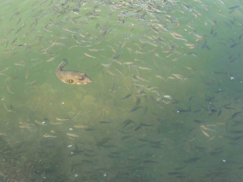 Андрей Кулешов | Москва