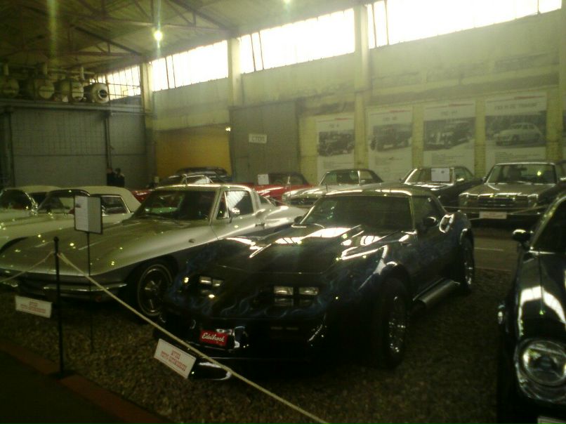 Дмитрий Николаев | Завидово