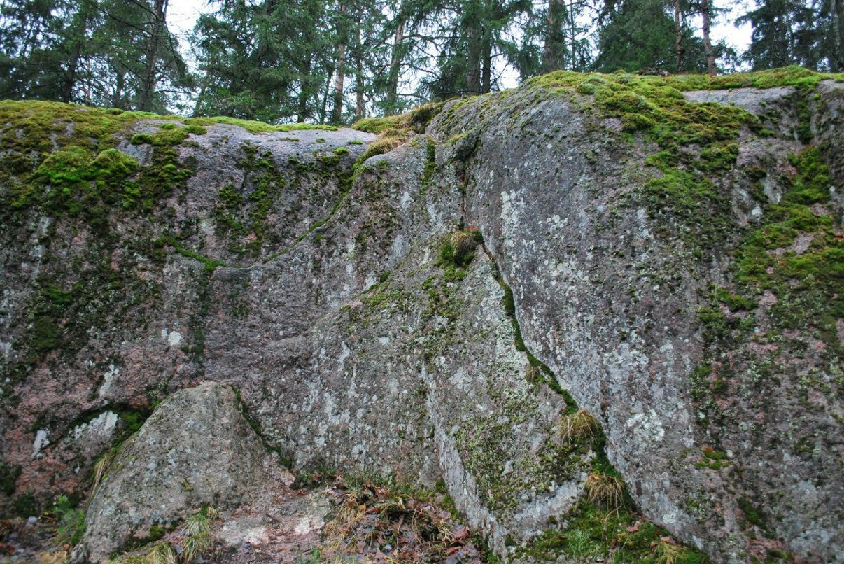 Таня Киреева | Воронеж