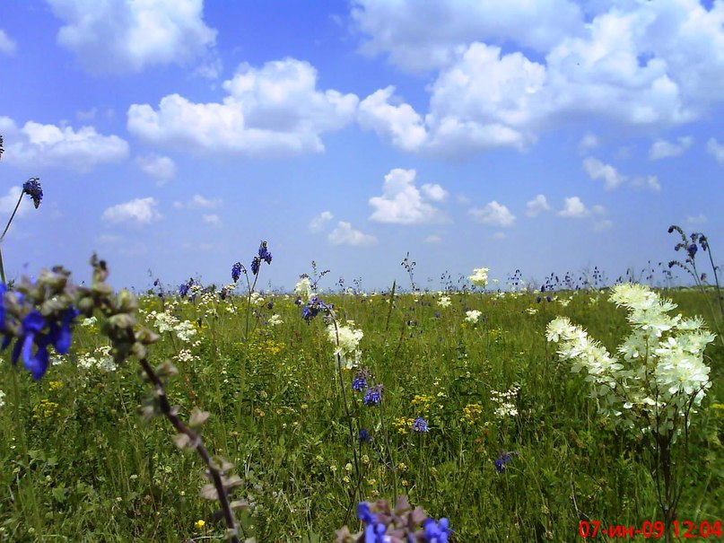 Светлана Власенко | Ставрополь