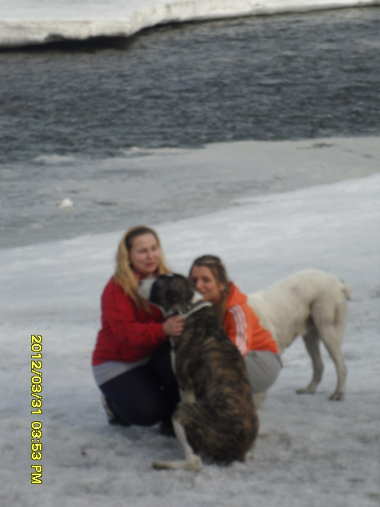 Юлия Бердник | Новокузнецк