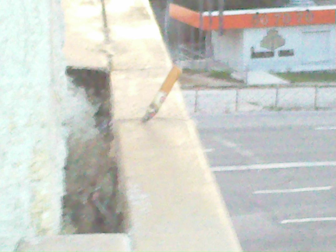 Алексей Новгородцев | 