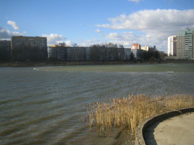 Юрий Калашинский 