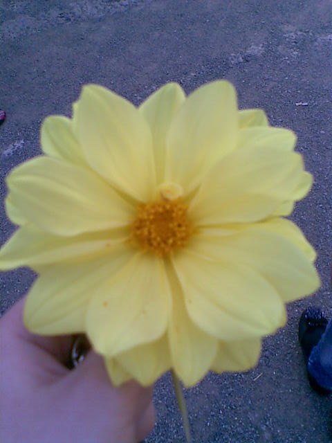 Анастасия Алексеева | Усть-Кут