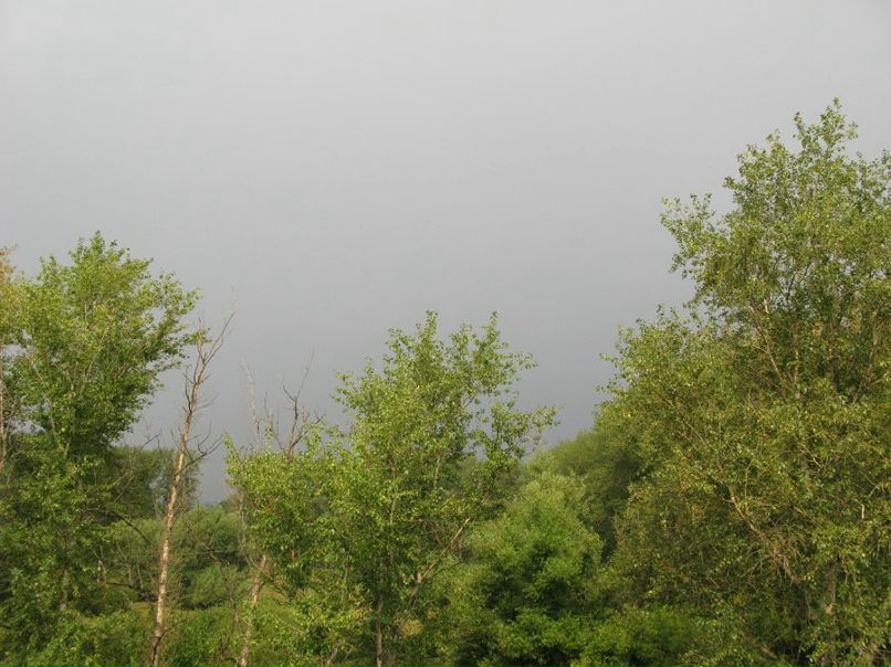 Вейерштрасс Вардагоров | Дмитров