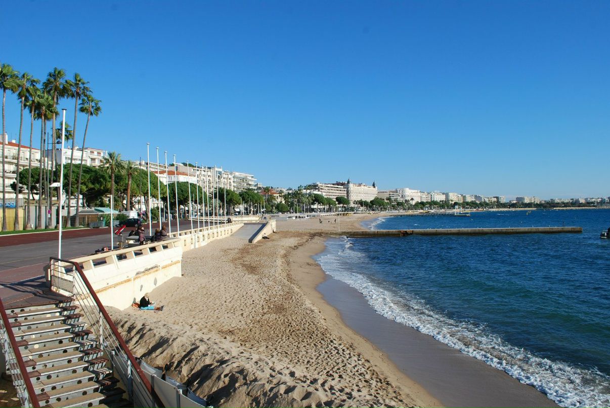 Леонид Селезнев | Санкт-Петербург